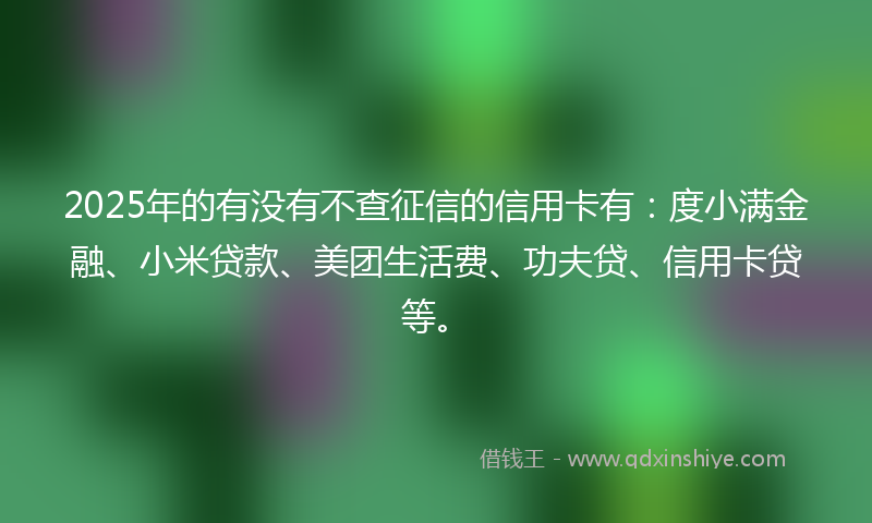 2025年的有没有不查征信的信用卡有:度小满金融、小米贷款、美团生活费、功夫贷、信用卡贷等。