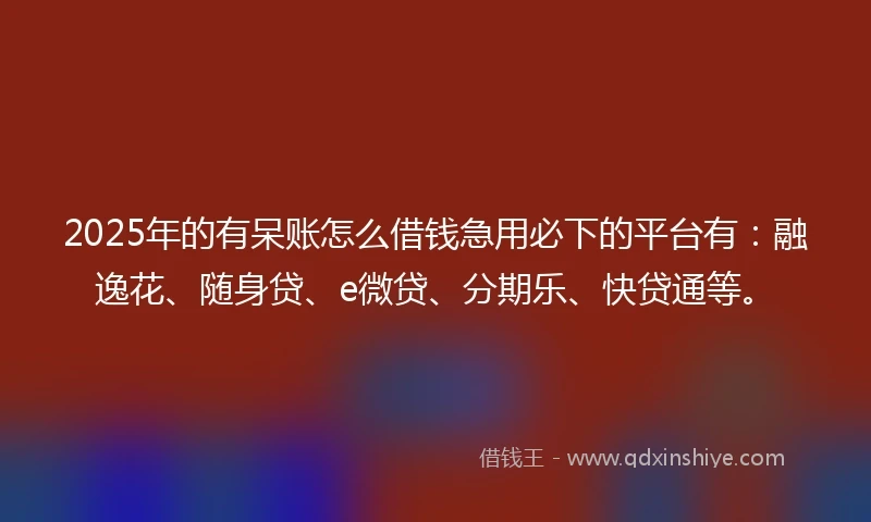 2025年的有呆账怎么借钱急用必下的平台有：融逸花、随身贷、e微贷、分期乐、快贷通等。