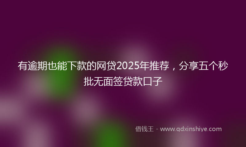 有逾期也能下款的网贷2025年推荐，分享五个秒批无面签贷款口子