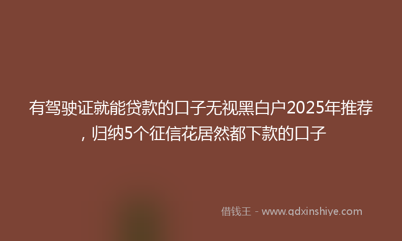 有驾驶证就能贷款的口子无视黑白户2025年推荐，归纳5个征信花居然都下款的口子