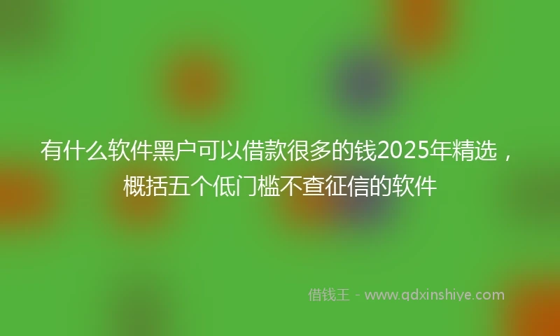 有什么软件黑户可以借款很多的钱2025年精选，概括五个低门槛不查征信的软件