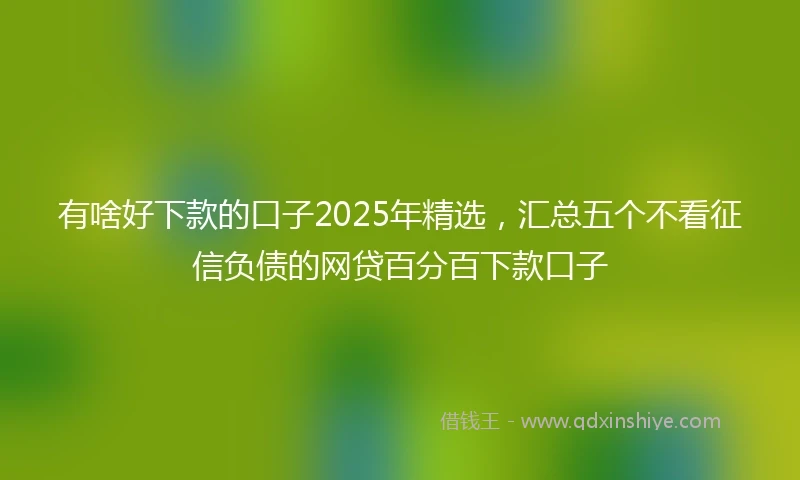 有啥好下款的口子2025年精选，汇总五个不看征信负债的网贷百分百下款口子