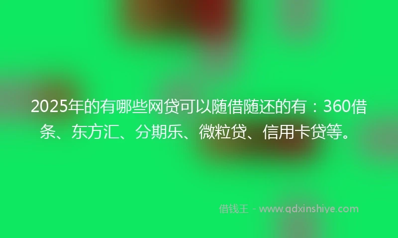 2025年的有哪些网贷可以随借随还的有：360借条、东方汇、分期乐、微粒贷、信用卡贷等。