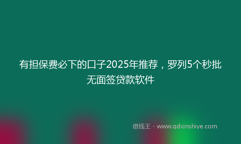 有担保费必下的口子2025年推荐，罗列5个秒批无面签贷款软件