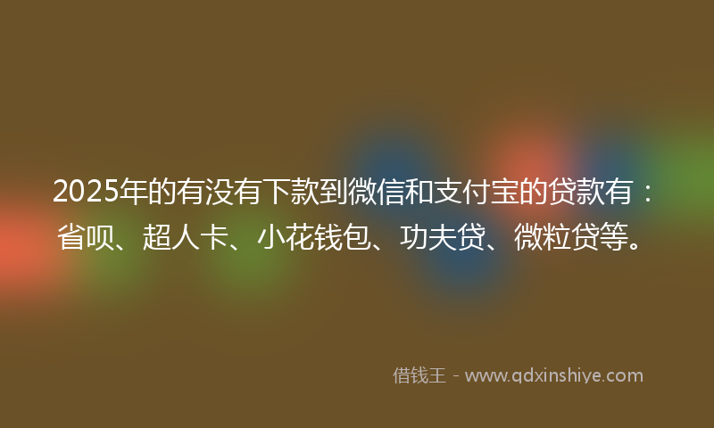 2025年的有没有下款到微信和支付宝的贷款有：省呗、超人卡、小花钱包、功夫贷、微粒贷等。