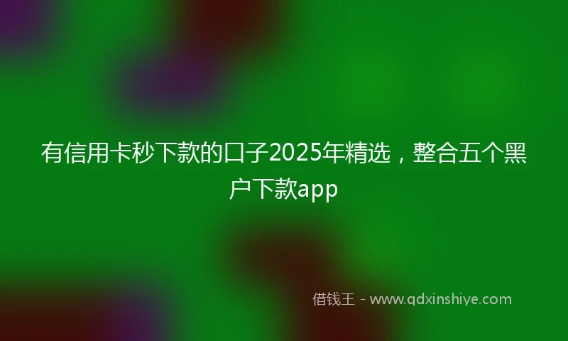 有信用卡秒下款的口子2025年精选，整合五个黑户下款app