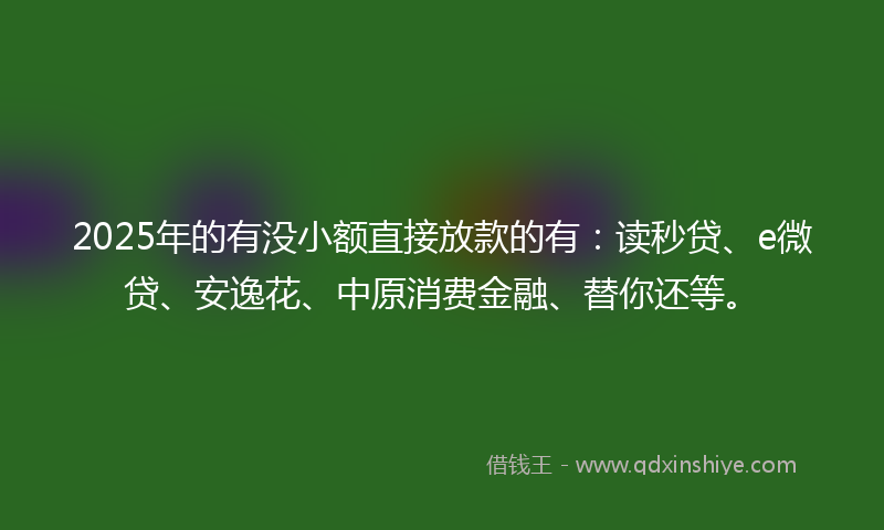 2025年的有没小额直接放款的有：读秒贷、e微贷、安逸花、中原消费金融、替你还等。