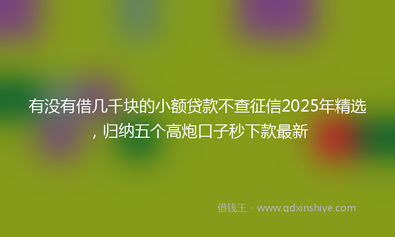 有没有借几千块的小额贷款不查征信2025年精选，归纳五个高炮口子秒下款最新