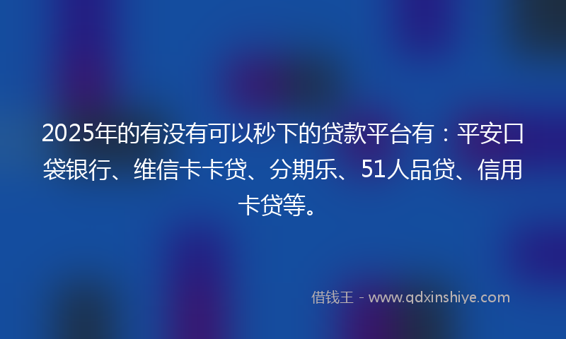 2025年的有没有可以秒下的贷款平台有：平安口袋银行、维信卡卡贷、分期乐、51人品贷、信用卡贷等。