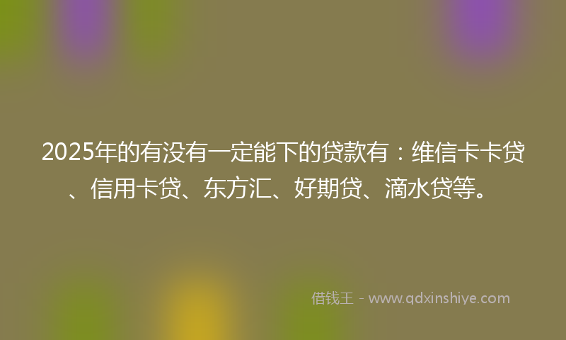 2025年的有没有一定能下的贷款有：维信卡卡贷、信用卡贷、东方汇、好期贷、滴水贷等。