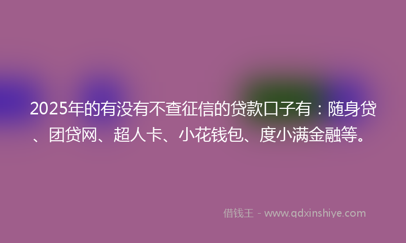 2025年的有没有不查征信的贷款口子有：随身贷、团贷网、超人卡、小花钱包、度小满金融等。