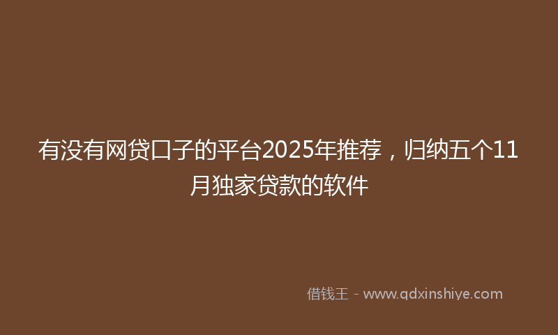 有没有网贷口子的平台2025年推荐，归纳五个11月独家贷款的软件