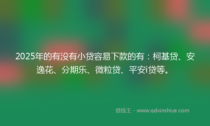 2025年的有没有小贷容易下款的有：柯基贷、安逸花、分期乐、微粒贷、平安i贷等。