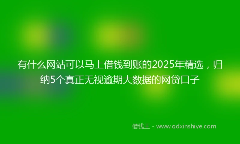 有什么网站可以马上借钱到账的2025年精选，归纳5个真正无视逾期大数据的网贷口子