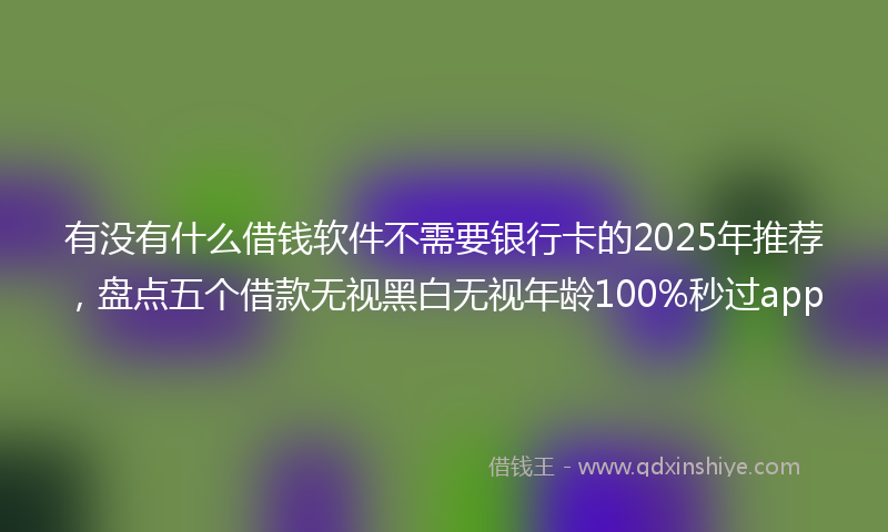 有没有什么借钱软件不需要银行卡的2025年推荐，盘点五个借款无视黑白无视年龄100%秒过app