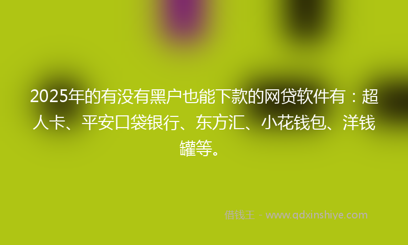 2025年的有没有黑户也能下款的网贷软件有：超人卡、平安口袋银行、东方汇、小花钱包、洋钱罐等。