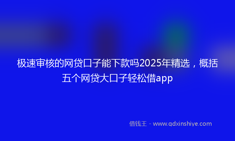 极速审核的网贷口子能下款吗2025年精选，概括五个网贷大口子轻松借app