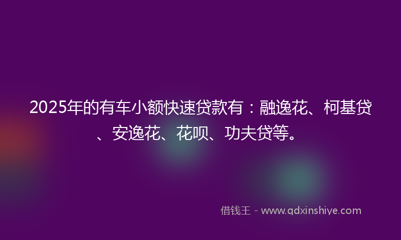 2025年的有车小额快速贷款有：融逸花、柯基贷、安逸花、花呗、功夫贷等。