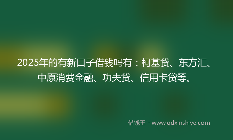 2025年的有新口子借钱吗有：柯基贷、东方汇、中原消费金融、功夫贷、信用卡贷等。