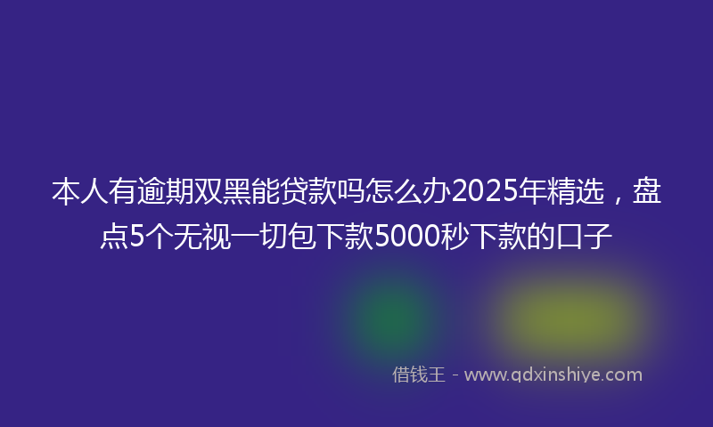 本人有逾期双黑能贷款吗怎么办2025年精选，盘点5个无视一切包下款5000秒下款的口子