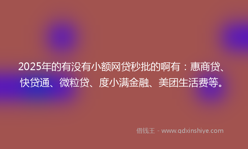2025年的有没有小额网贷秒批的啊有：惠商贷、快贷通、微粒贷、度小满金融、美团生活费等。