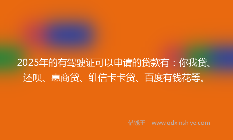 2025年的有驾驶证可以申请的贷款有：你我贷、还呗、惠商贷、维信卡卡贷、百度有钱花等。