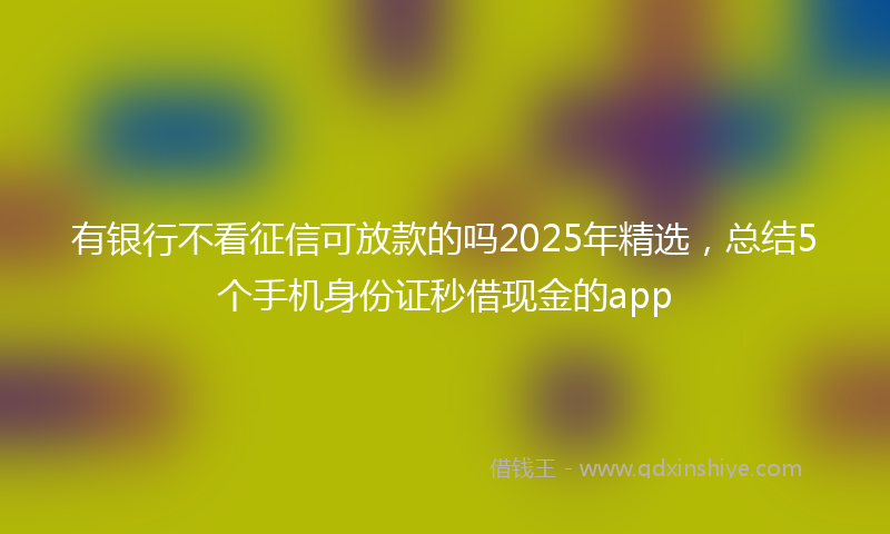 有银行不看征信可放款的吗2025年精选，总结5个手机身份证秒借现金的app