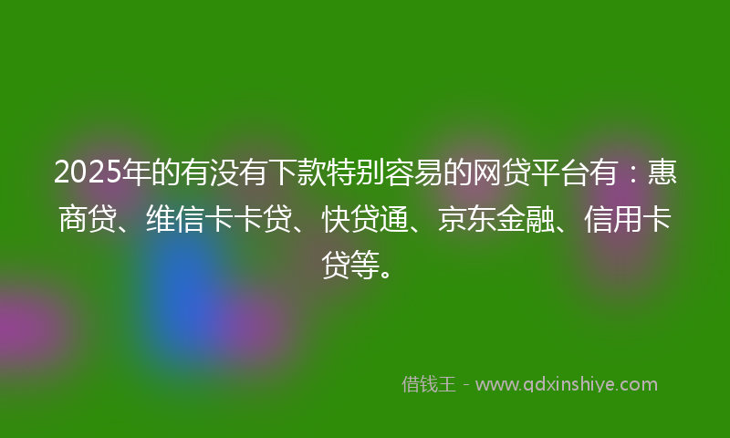 2025年的有没有下款特别容易的网贷平台有：惠商贷、维信卡卡贷、快贷通、京东金融、信用卡贷等。