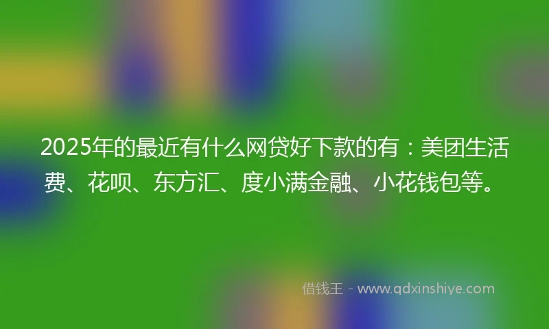 2025年的最近有什么网贷好下款的有：美团生活费、花呗、东方汇、度小满金融、小花钱包等。