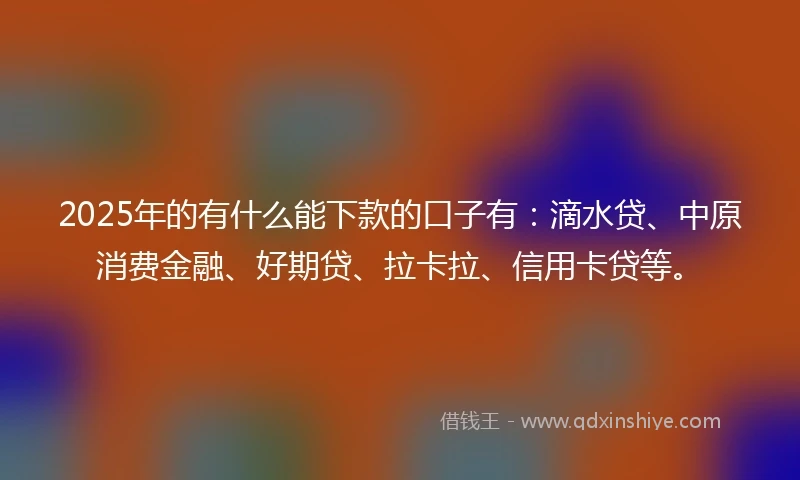 2025年的有什么能下款的口子有:滴水贷、中原消费金融、好期贷、拉卡拉、信用卡贷等。