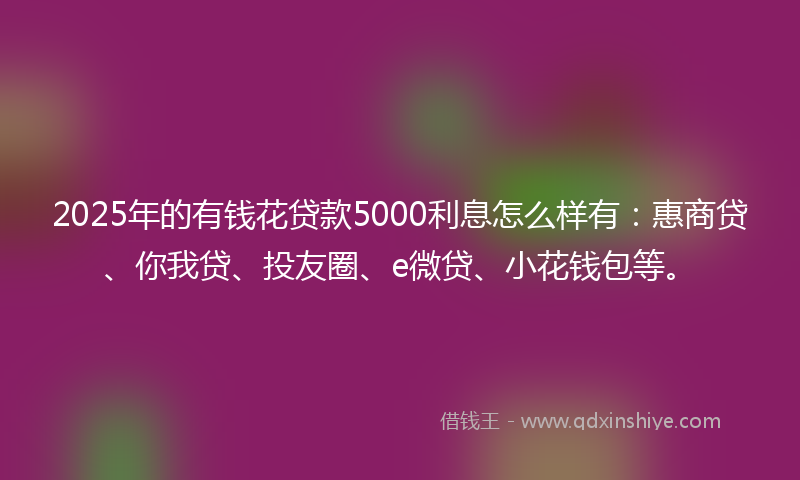 2025年的有钱花贷款5000利息怎么样有：惠商贷、你我贷、投友圈、e微贷、小花钱包等。