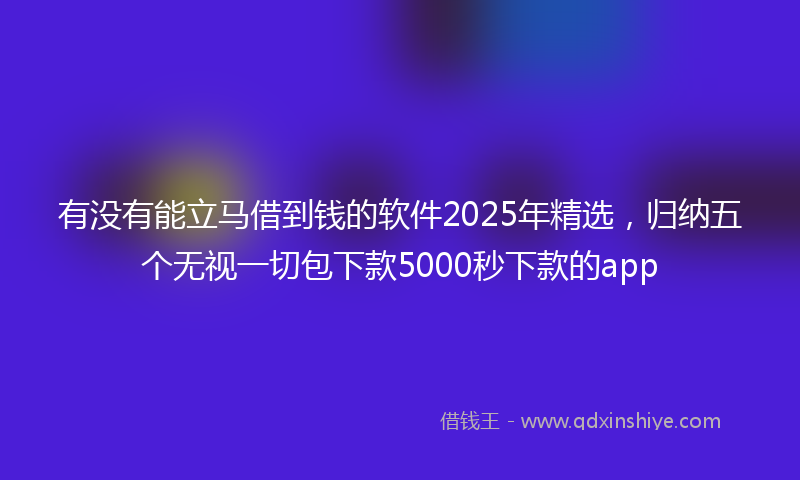 有没有能立马借到钱的软件2025年精选，归纳五个无视一切包下款5000秒下款的app