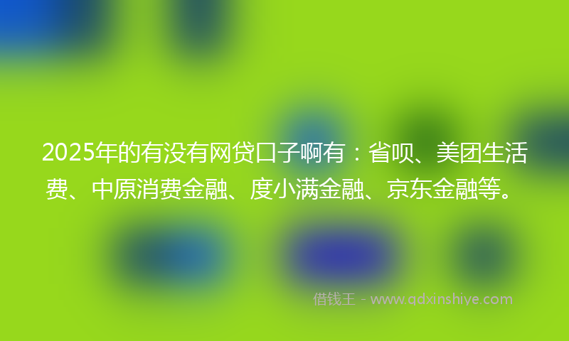 2025年的有没有网贷口子啊有：省呗、美团生活费、中原消费金融、度小满金融、京东金融等。