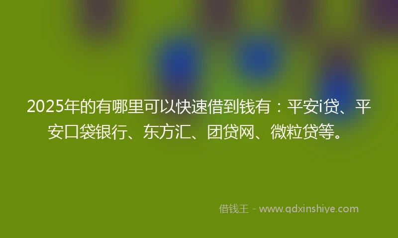 2025年的有哪里可以快速借到钱有：平安i贷、平安口袋银行、东方汇、团贷网、微粒贷等。