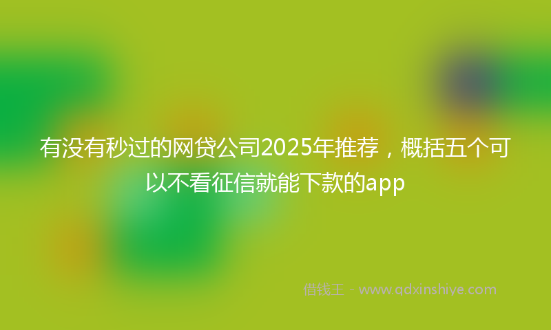 有没有秒过的网贷公司2025年推荐，概括五个可以不看征信就能下款的app