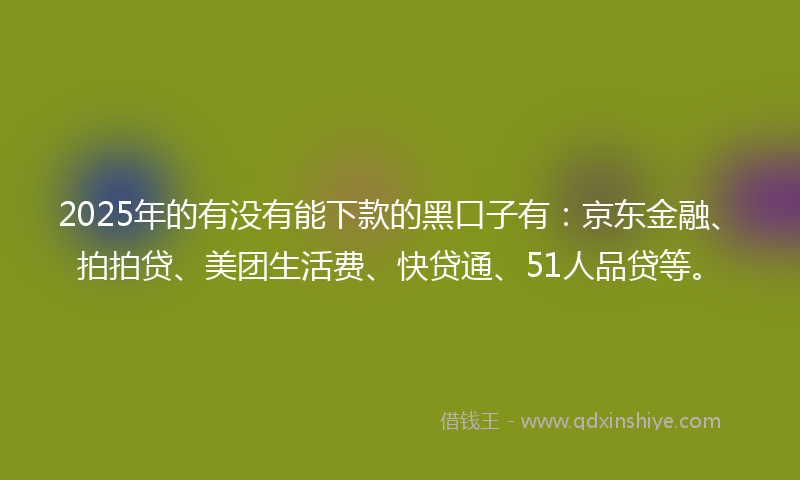 2025年的有没有能下款的黑口子有：京东金融、拍拍贷、美团生活费、快贷通、51人品贷等。