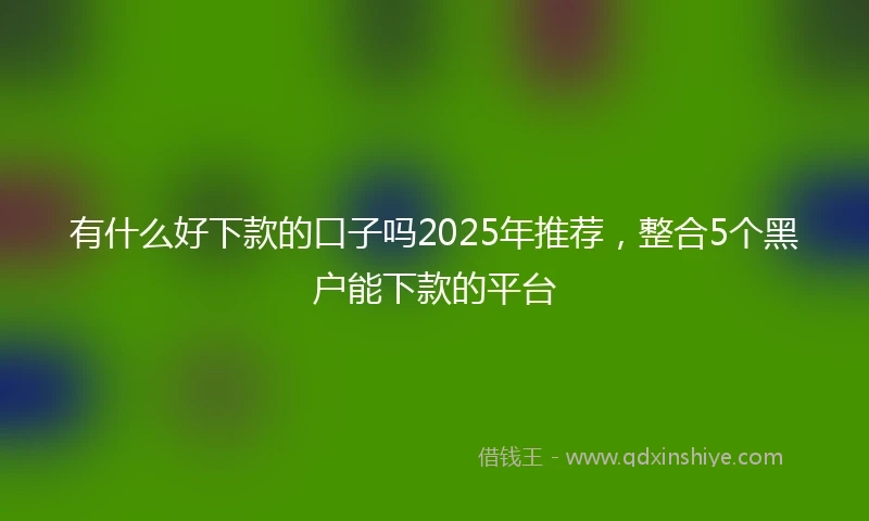 有什么好下款的口子吗2025年推荐，整合5个黑户能下款的平台