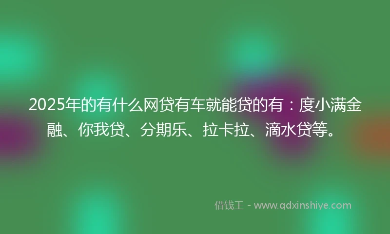 2025年的有什么网贷有车就能贷的有：度小满金融、你我贷、分期乐、拉卡拉、滴水贷等。