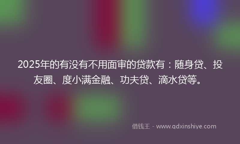 2025年的有没有不用面审的贷款有：随身贷、投友圈、度小满金融、功夫贷、滴水贷等。