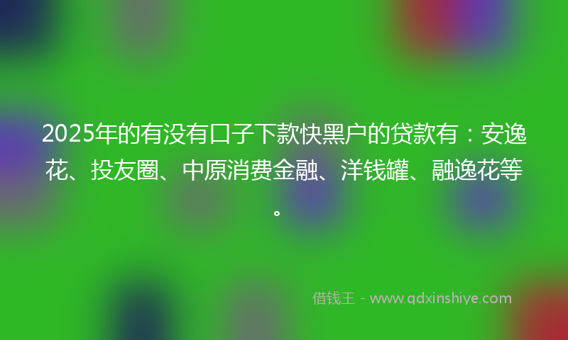 2025年的有没有口子下款快黑户的贷款有：安逸花、投友圈、中原消费金融、洋钱罐、融逸花等。
