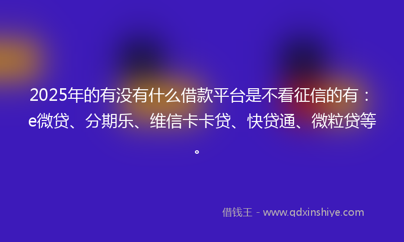 2025年的有没有什么借款平台是不看征信的有：e微贷、分期乐、维信卡卡贷、快贷通、微粒贷等。