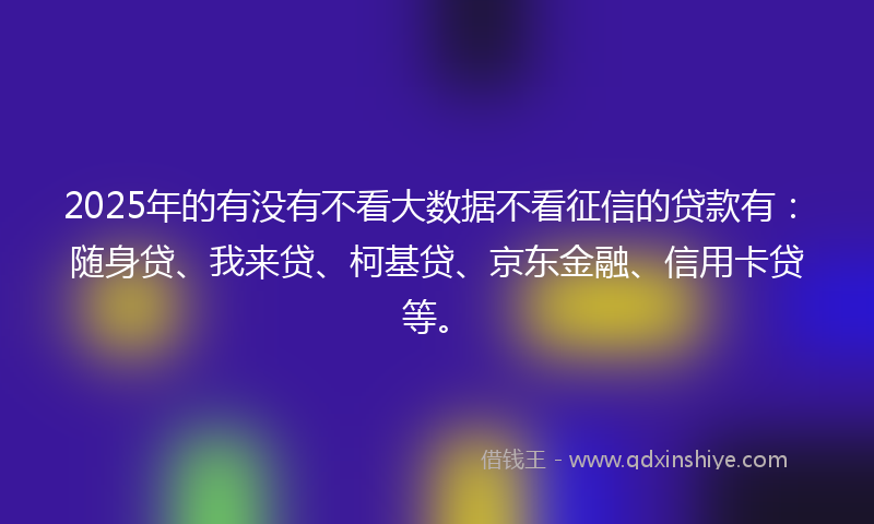 2025年的有没有不看大数据不看征信的贷款有：随身贷、我来贷、柯基贷、京东金融、信用卡贷等。