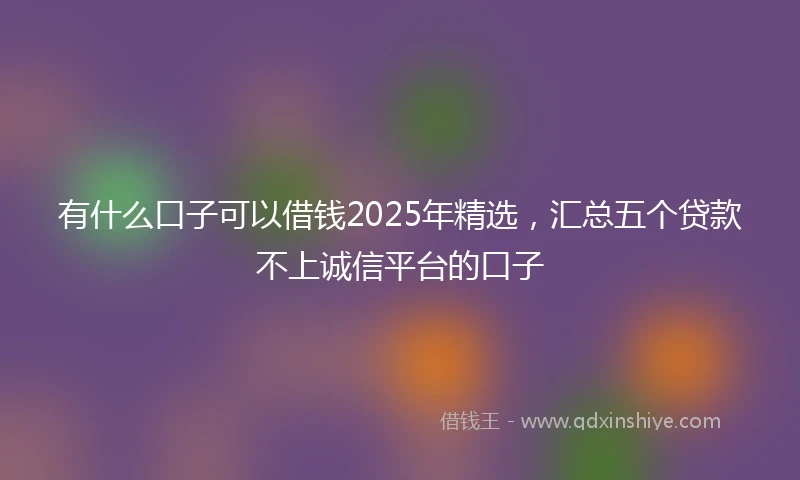 有什么口子可以借钱2025年精选，汇总五个贷款不上诚信平台的口子