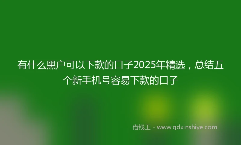 有什么黑户可以下款的口子2025年精选，总结五个新手机号容易下款的口子