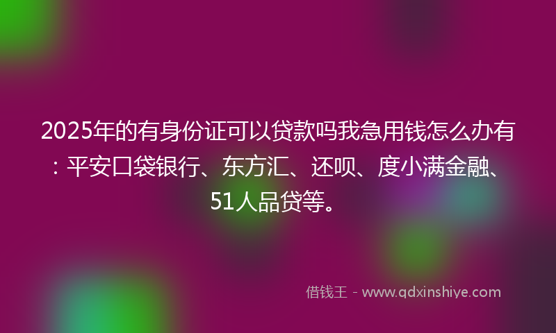 2025年的有身份证可以贷款吗我急用钱怎么办有：平安口袋银行、东方汇、还呗、度小满金融、51人品贷等。