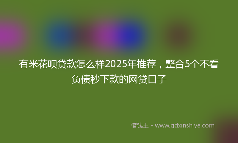 有米花呗贷款怎么样2025年推荐，整合5个不看负债秒下款的网贷口子