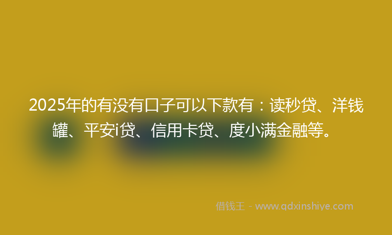 2025年的有没有口子可以下款有：读秒贷、洋钱罐、平安i贷、信用卡贷、度小满金融等。