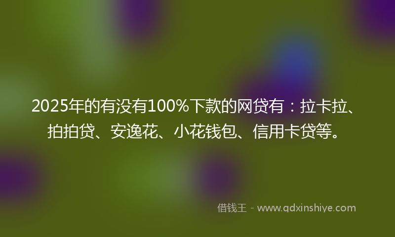 2025年的有没有100%下款的网贷有：拉卡拉、拍拍贷、安逸花、小花钱包、信用卡贷等。