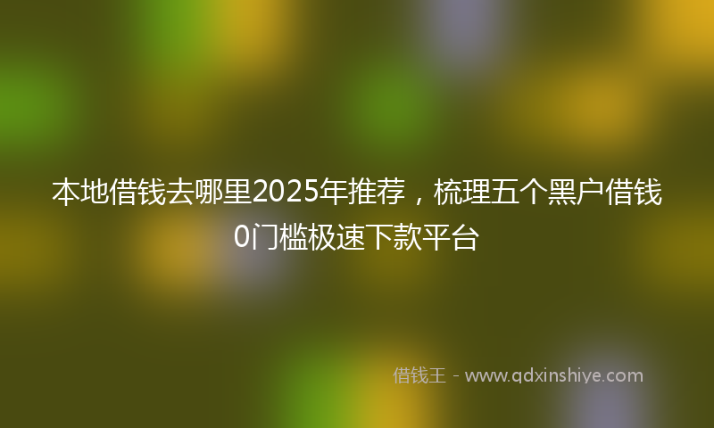 本地借钱去哪里2025年推荐，梳理五个黑户借钱0门槛极速下款平台