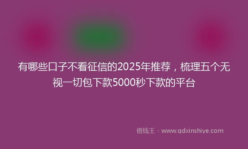 有哪些口子不看征信的2025年推荐，梳理五个无视一切包下款5000秒下款的平台